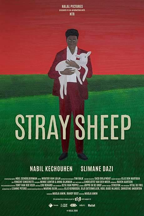 Stray Sheep